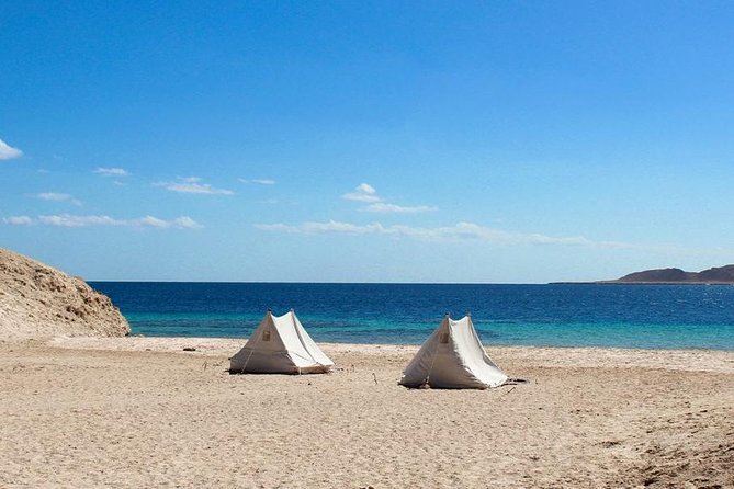Ras Muhammed National Park Half Day by Bus With City Tour - Sharm El Sheikh - Tour Overview