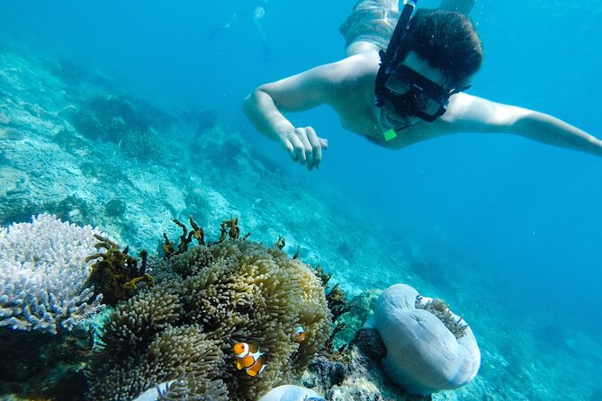 4 Best Snorkeling Experiences In Malaysia