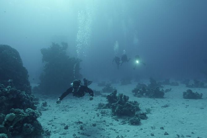 Red Sea Snorkeling - Meeting and Pickup Details