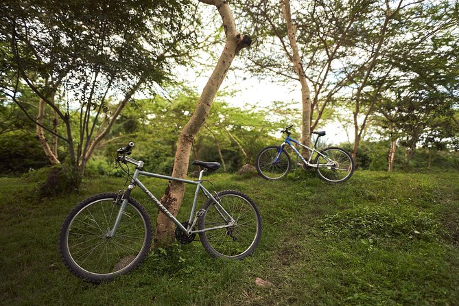 Rent a Bike on the Border of Arusha National Park - Activity Overview