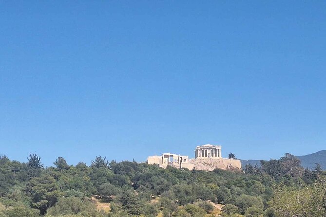 Revealing the Archaeological Lanscape With a Specialist - Site Exploration Techniques