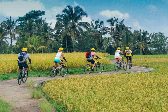 Rice Paddy Cycling Tour - Tour Duration