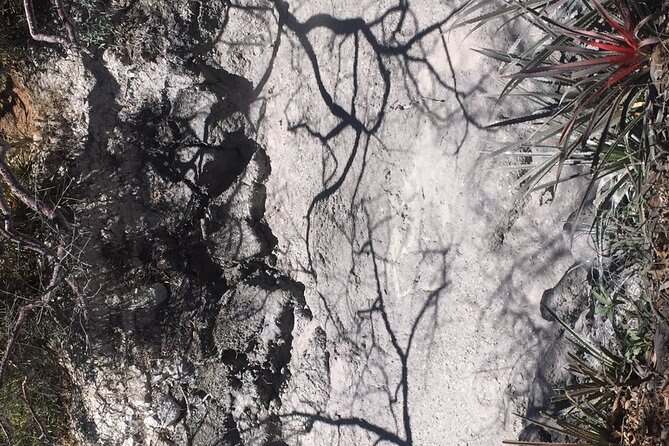 Rincon Volcano Hike +Waterfall Swim + Hot Springs+ Lunch Buffet - Meeting and Pickup Details