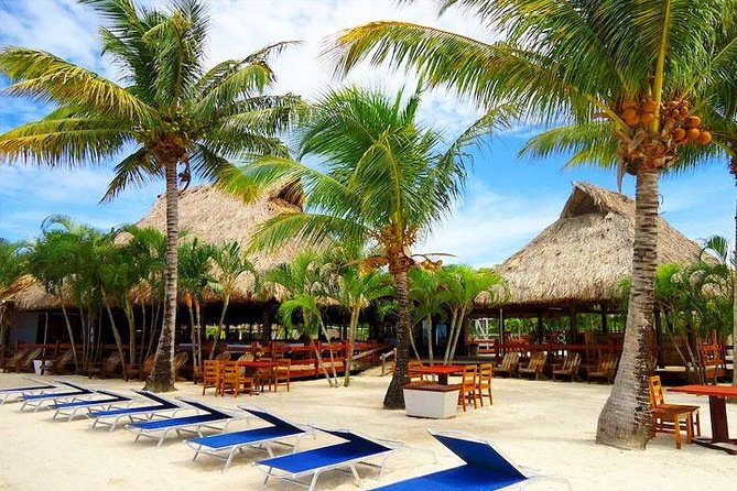 Roatan Las Palmas Beach Club, FREE Sloths & Monkey, Private Transportation