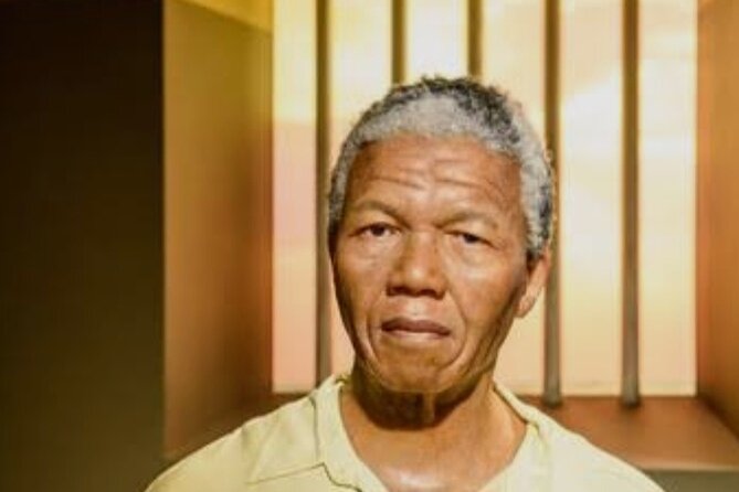 Robben Island Table Mountain City Tour Private From Cape Town - Tour Details