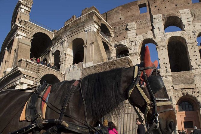 Roman Colosseum Small Group Tour for Kids With Skip-The-Line Tickets & Forums - Tour Highlights