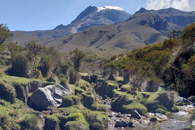Romerales Paramo Tour Salento Quindio - Overview of the Paramo Tour