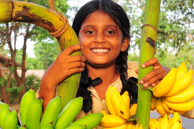 Rural Sri Lanka (13 N / 14 D) - Tour Highlights