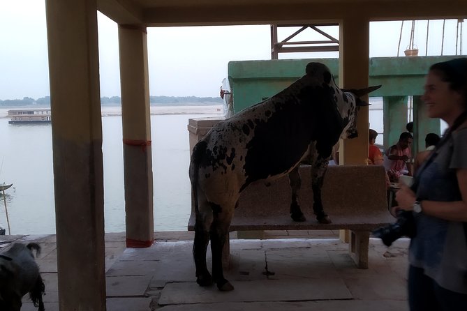 Sacred Ponds & Temples Walking Tour in Varanasi