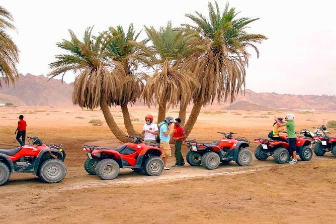 Safari - Safari Location: Hurghada