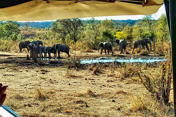 Safari and High Tea Game Drive in Victoria Falls - Pickup and Drop-off Details
