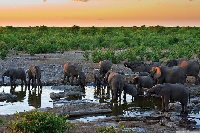 Safari in Selous From Zanzibar: 04 Night 05 Days Safari – Full Board - Pickup and Transportation Services