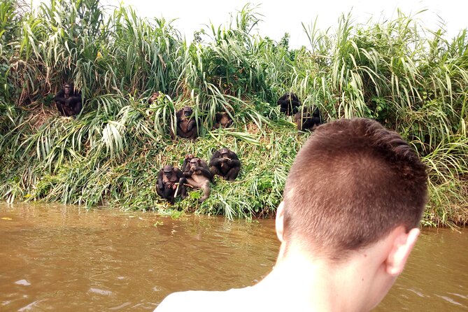 Safari Tour in Cameroon, Lobeke and Campo Maan National Park