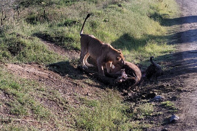 Safari Trip: Karen Blixen, Giraffe Center, Nairobi National Park