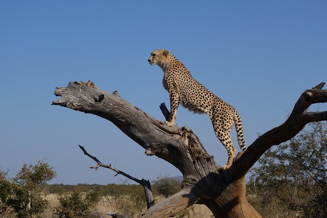 Safari Zimbabwe and Botswana - Itinerary Overview
