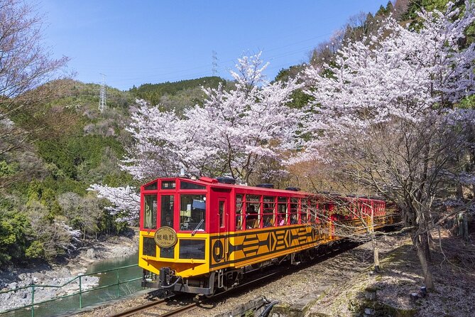Sagano Romantic Train One-Way Ticket - Ticket Details