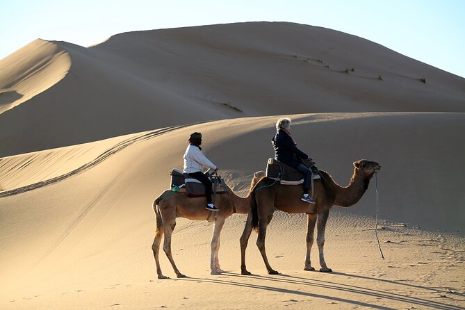 Sahara Desert and Dades Gorge Trip From Marrakesh - Trip Overview