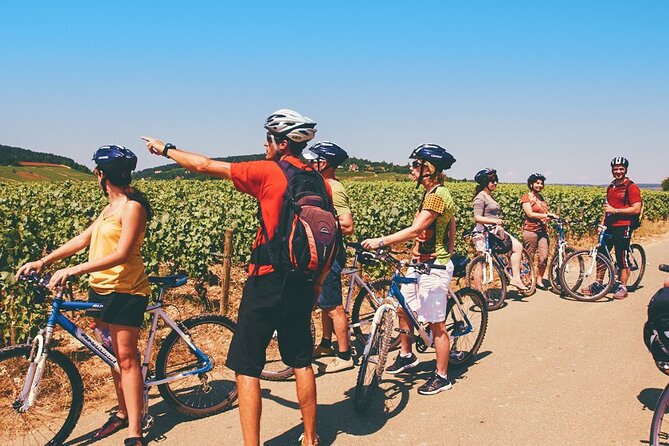 Saint Emilion Private E-Bike Winery Tour With Picnic Lunch