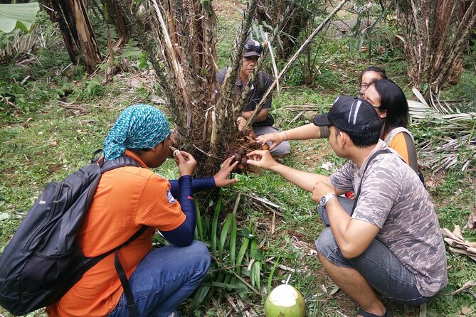 Salak Plantation Tour By Jeep - Transportation Details