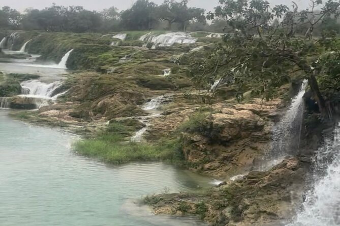 Salalah Half-Day Private Tour in the East