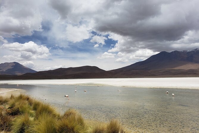 Salar De Uyuni Private Tours 2 Days