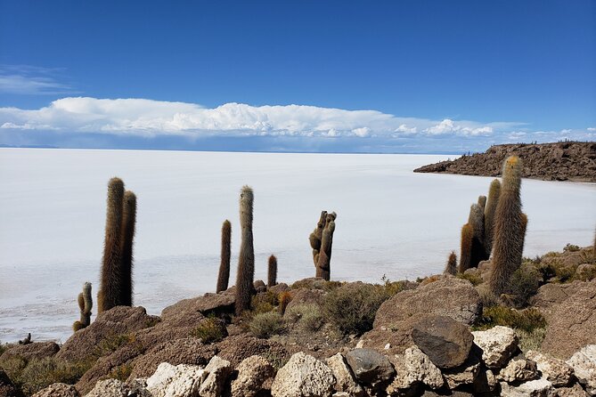 Salar De Uyuni Tours 3 Days Private With Tayka Hotels - Overview of the Tour