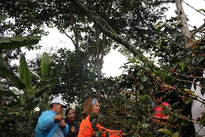 Salkantay Trek 5D/4N - Adventure Hike to Machu Picchu - Included Services and Equipment