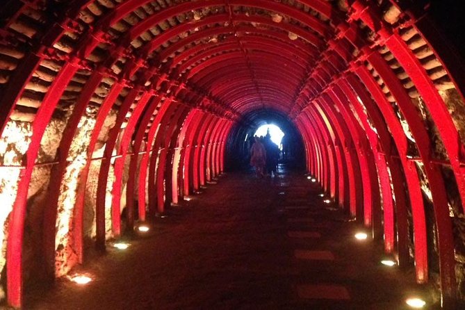 Salt Cathedral in Zipaquirá and Andres Carne De Res in Chía