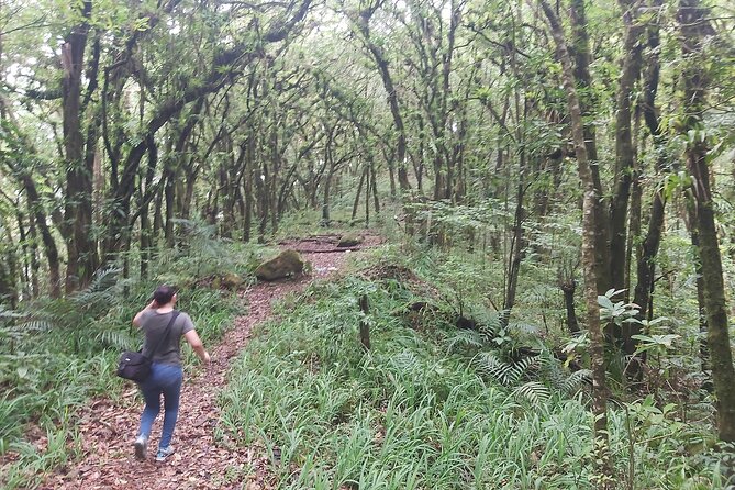 San Vicente Volcano High Performance Trail