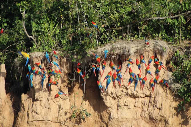 Sandoval Lake + Chuncho Macaw Collpa - 5 Days / 4 Nights - Itinerary Overview