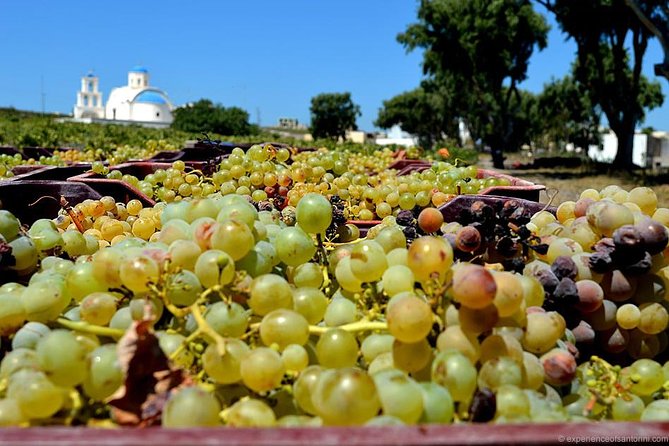 Santorini Wine Roads Half Day