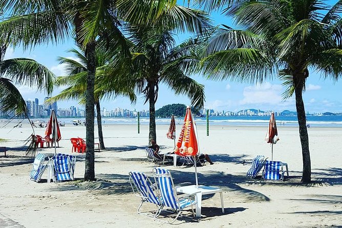 Santos Shore Excursion: Full Day Beaches Tour - Overview of Santos Beaches Tour