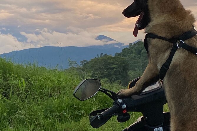 Scooter Rentals in Manuel Antonio - Location and Inclusions