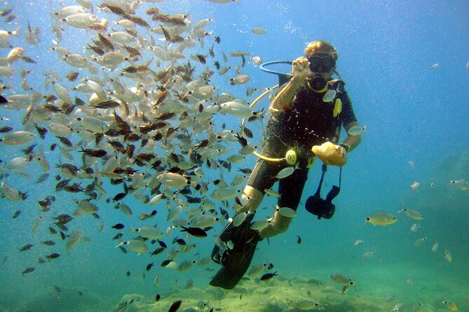 Scuba Diving Tour and Experience in Alanya