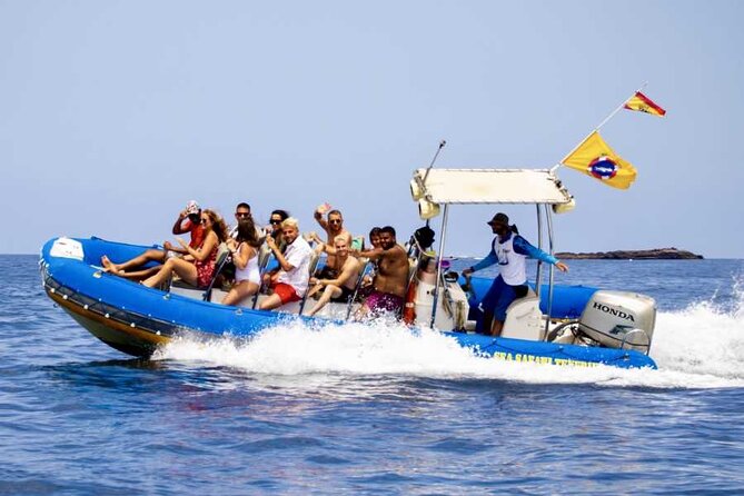 SEA SAFARI, Dolphins, Whales, Snorkeling, Snack, Drink, 2 H Private Speedboat
