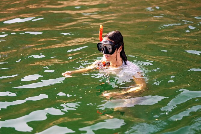 Sea Wonders Dolphin Watching and Snorkeling in Muscat