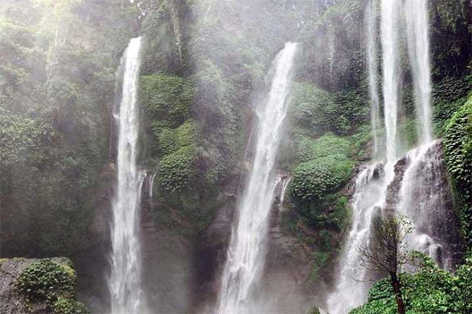 Sekumpul Waterfall Trekking - Activities