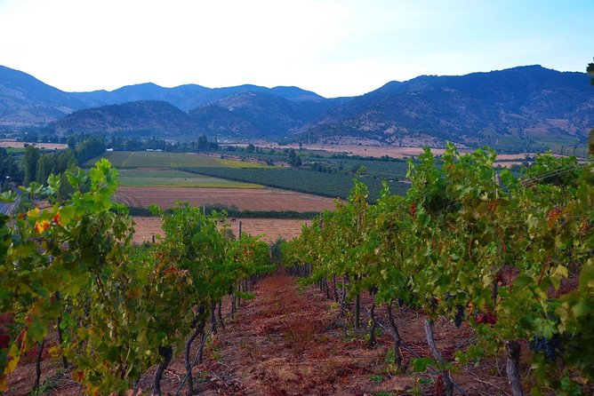 Self Drive Experience in Colchagua Valley, 4 Days - Overview of Colchagua Valley
