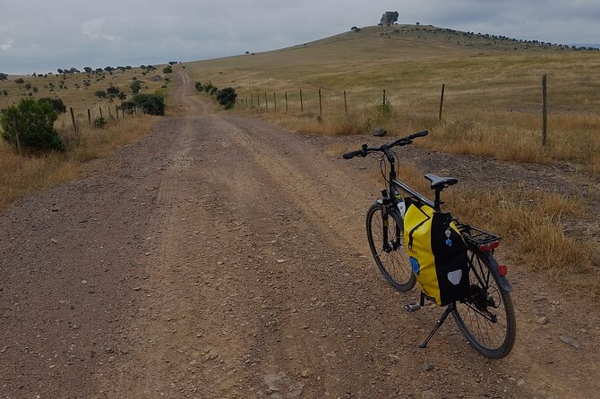 Self-Guided Bike Tour Around Doñana From Seville - Tour Details