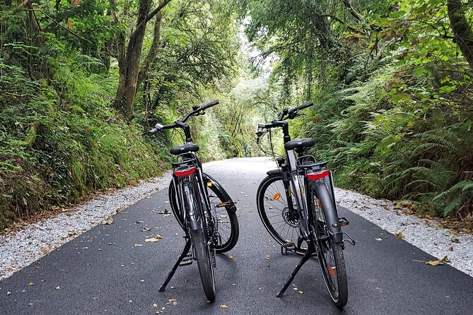 Self Guided Bike Tour on Thetralee to Fenit Greenway - Inclusions and Meeting Point
