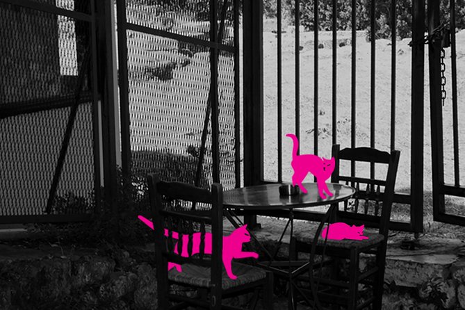 Self-Guided Virtual Tour of the Cats of Athens: Cats on the Prowl