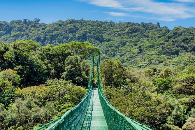 Selvatura Park Eco Adventure Tour of Monteverde