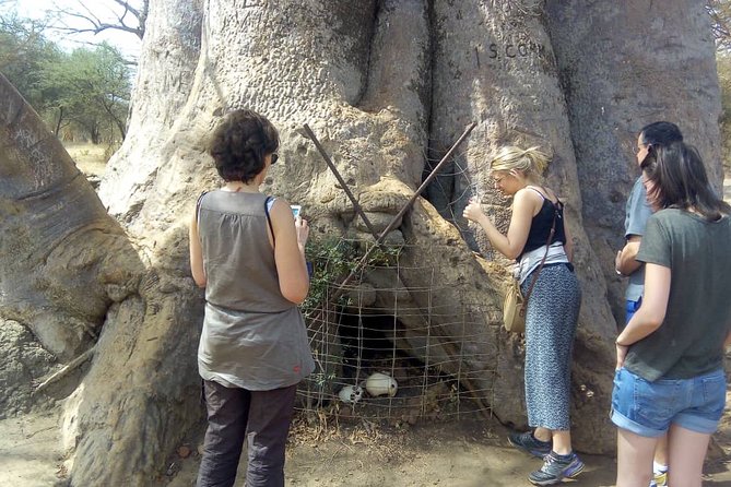 Senegal Highlights 8 Days 7 Nights (Budget) - Tour Itinerary