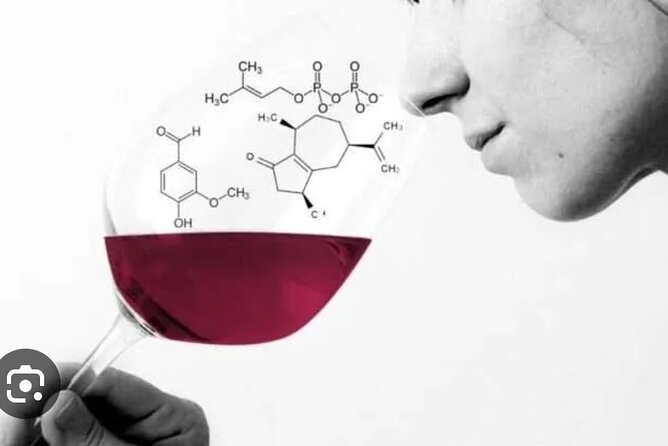 Sensorial Wine Tasting and Masterclass in Chianti Region