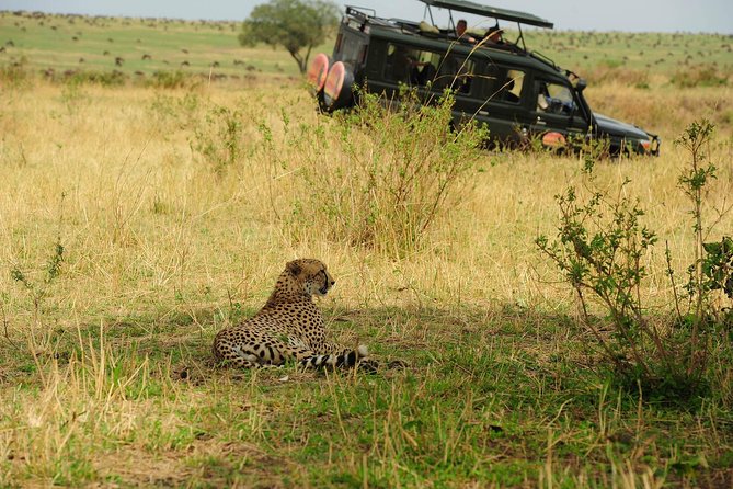 Serengeti 4 Days Safari Tanzania