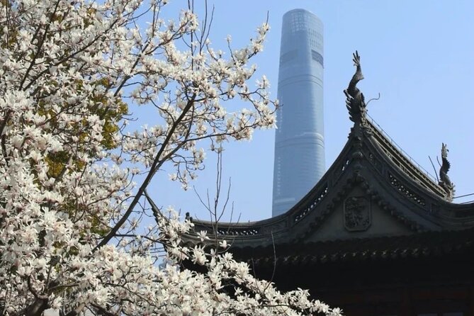 Shanghai 4-hour Layover Private Guided Tour