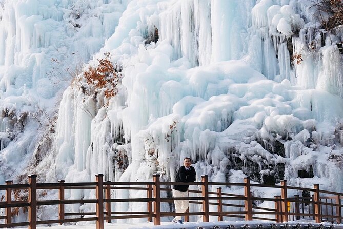 Shared Korean Winter Tour at Nami Island With Professional Guide - Meeting and Pickup Details