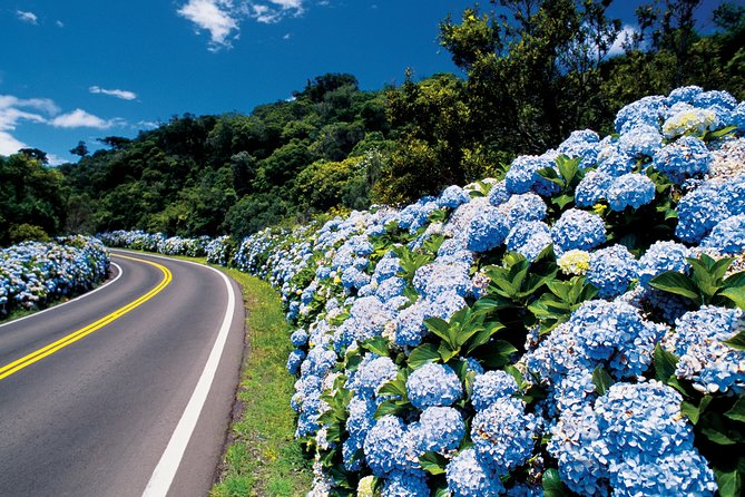 Shared Shuttle Between Porto Alegre Airport and Gramado or Canela Hotels