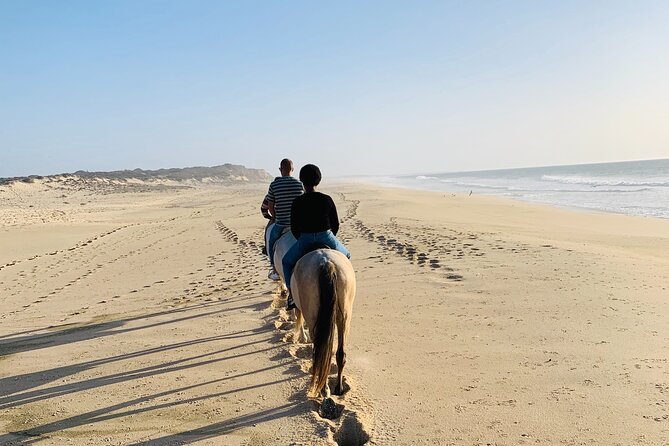 Sharm El-Sheikh: 1 Hour Horse Riding on the Sea W/Transfer - Location and Duration