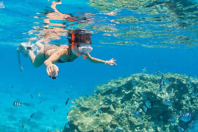 Sharm El Sheikh Mega Safari Waves and Dunes With Lunch